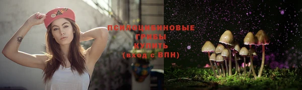 кокаин колумбия Бородино